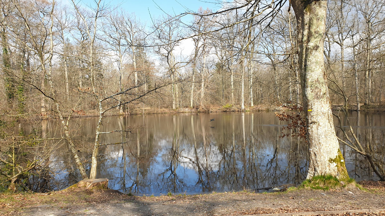 Mare aux Evees with bird flying