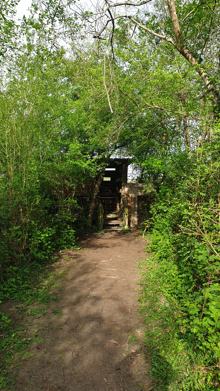 Observatory number 2