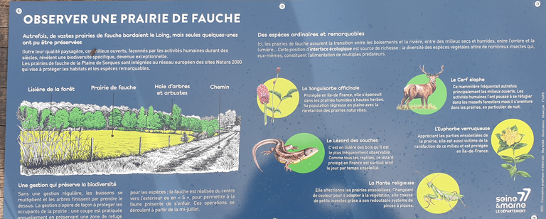 Information sign