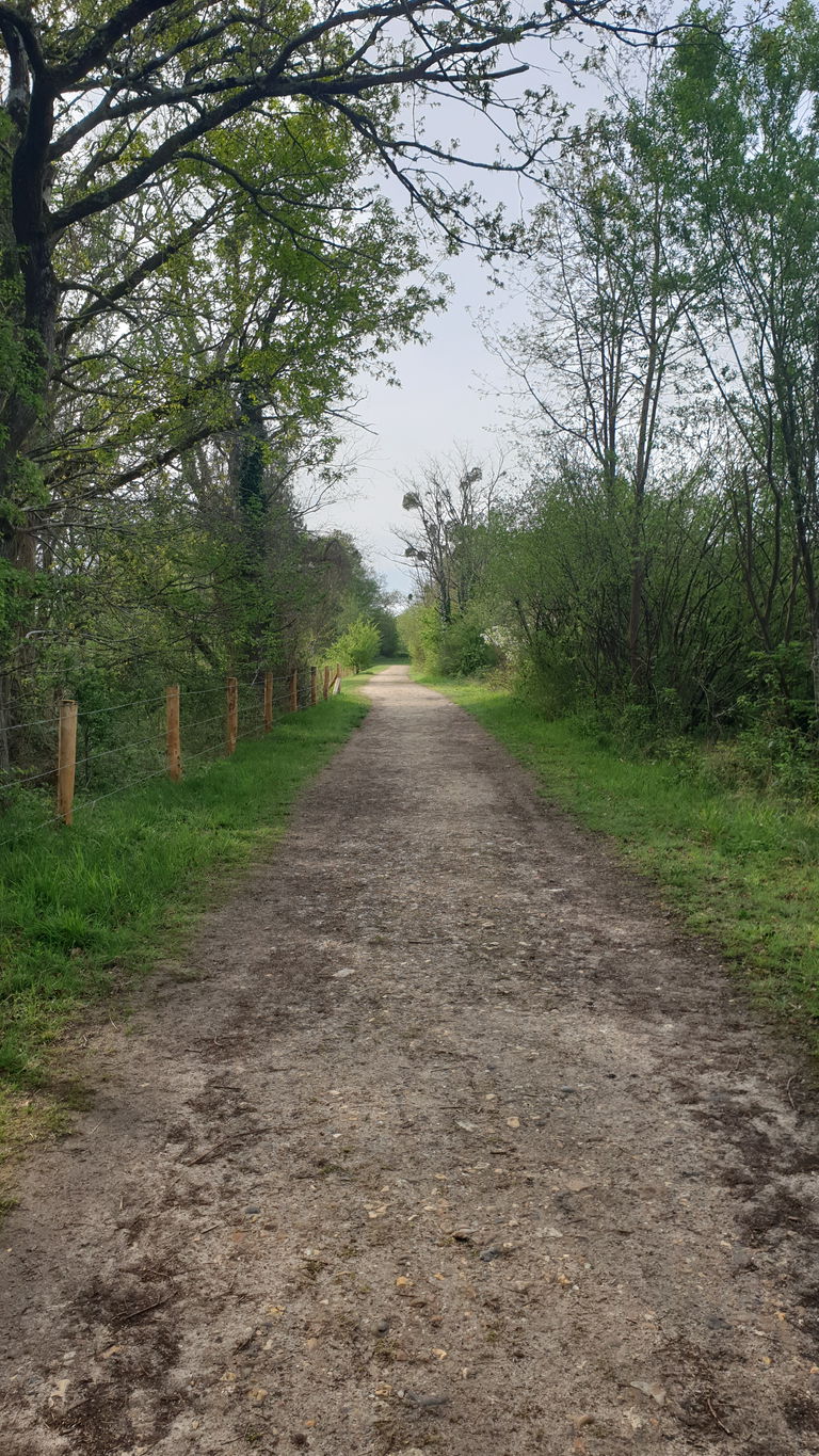 Plaine de Sorques trail