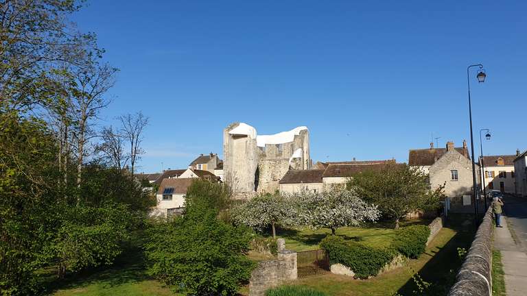 Tower and garden