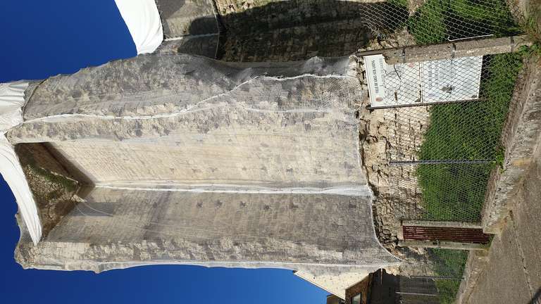 Tower and protective netting