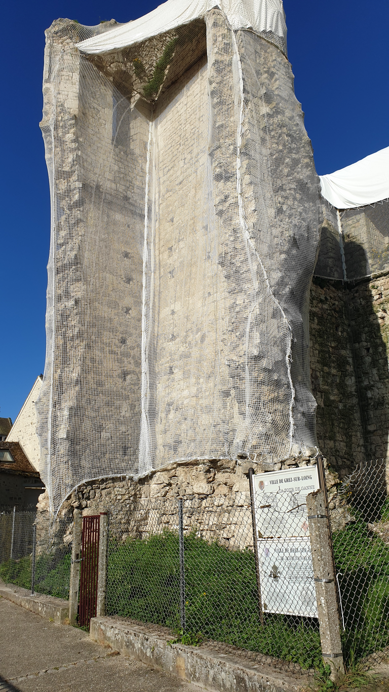 Tower and protective netting