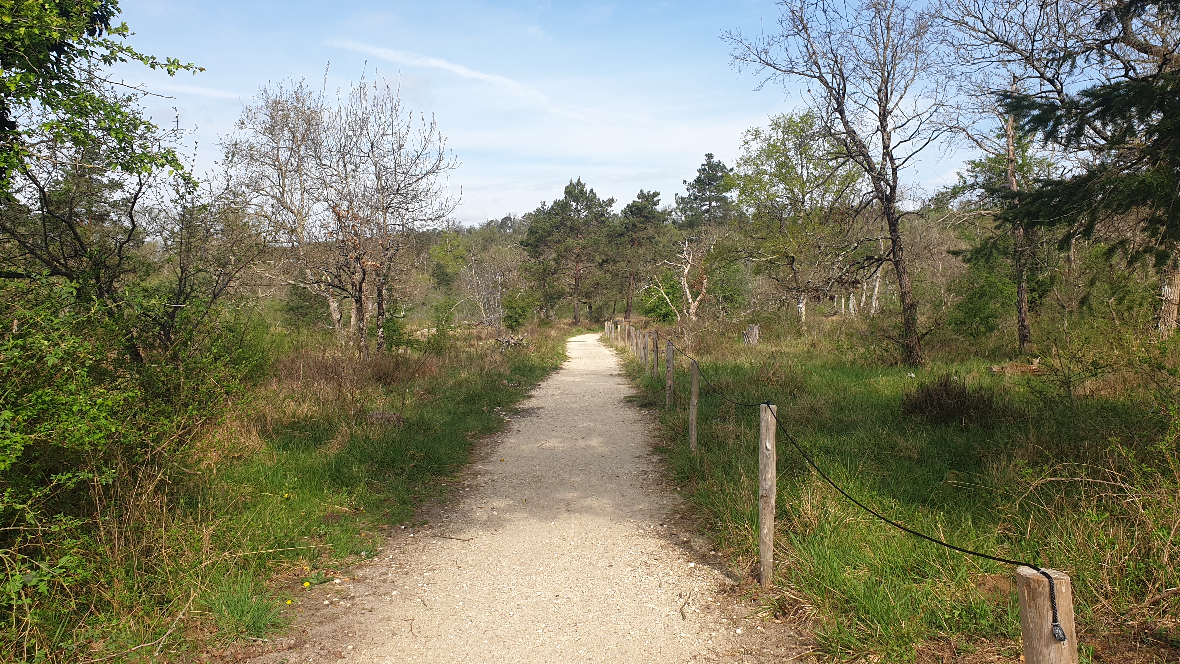 Sandy path on accessible walkway