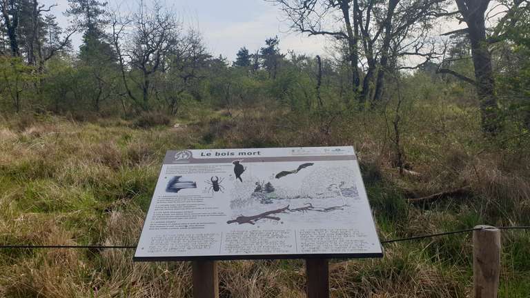 Descriptive sign in braile