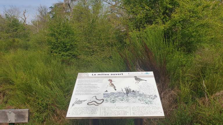 Descriptive sign in braile