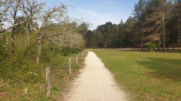 Path beside grassy field