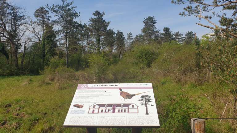 Historical sign in braile