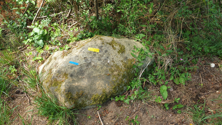 Trail markings on the rock