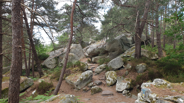 Pathway through the boulders