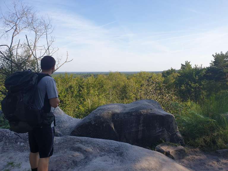 Looking over Barbizon's Forest