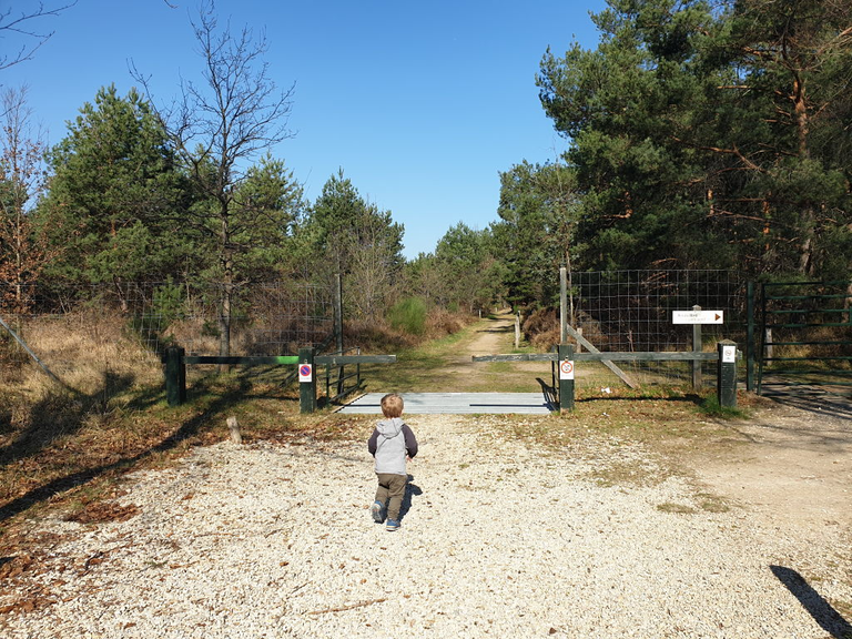 Entrance to Arbor and Sens