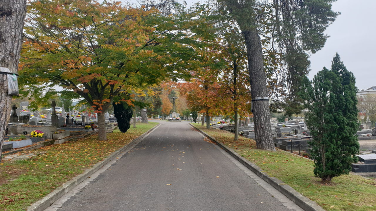Armistice day in Fontainebleau.