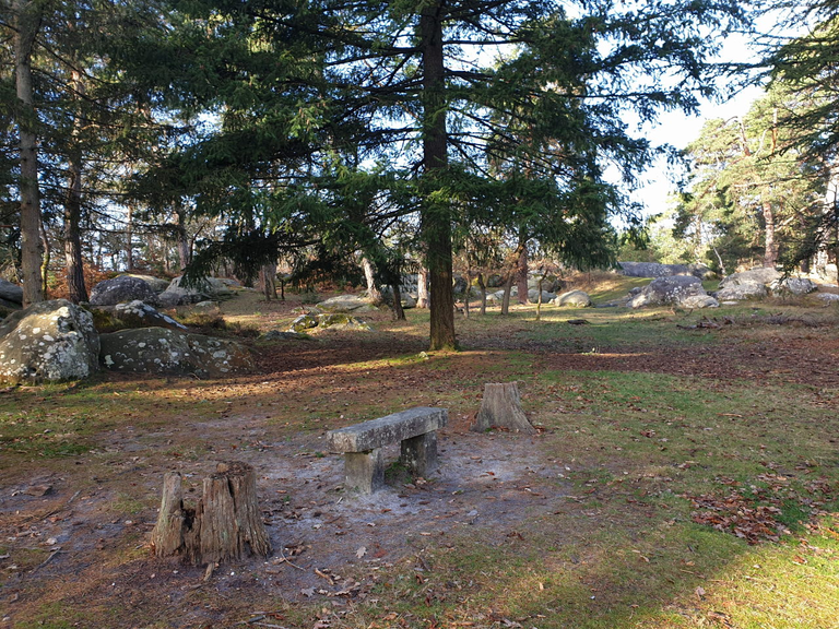 Picnic area and park