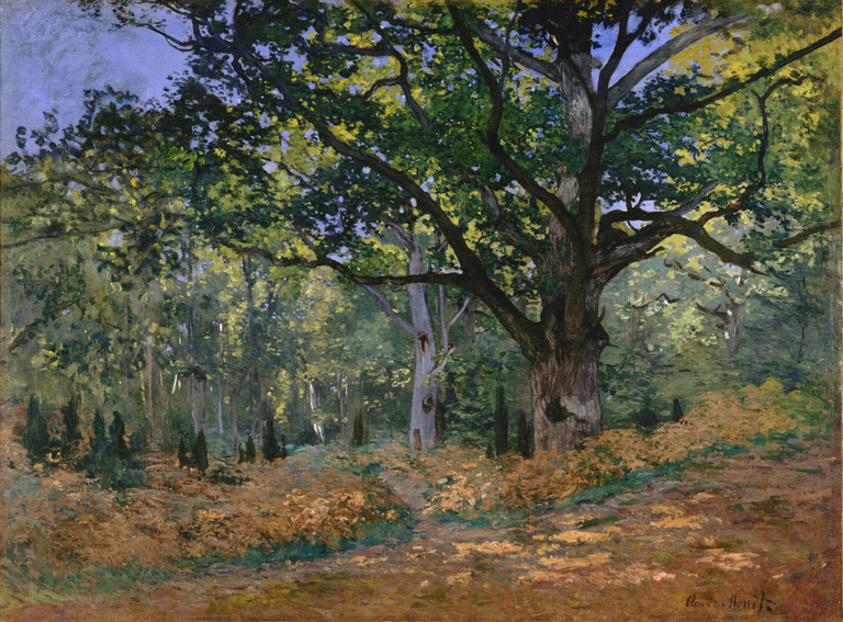 The Bodmer Oak, Fontainebleau 1865, by Claude Monet