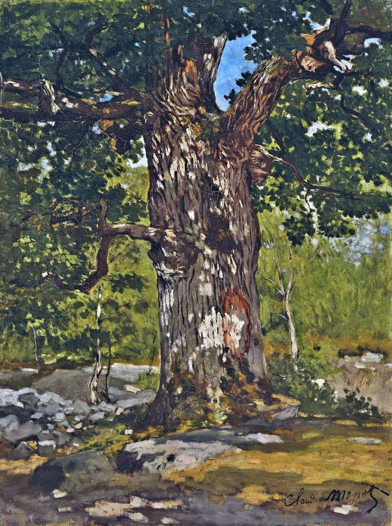 The Bodmer Oak 1865, by Claude Monet