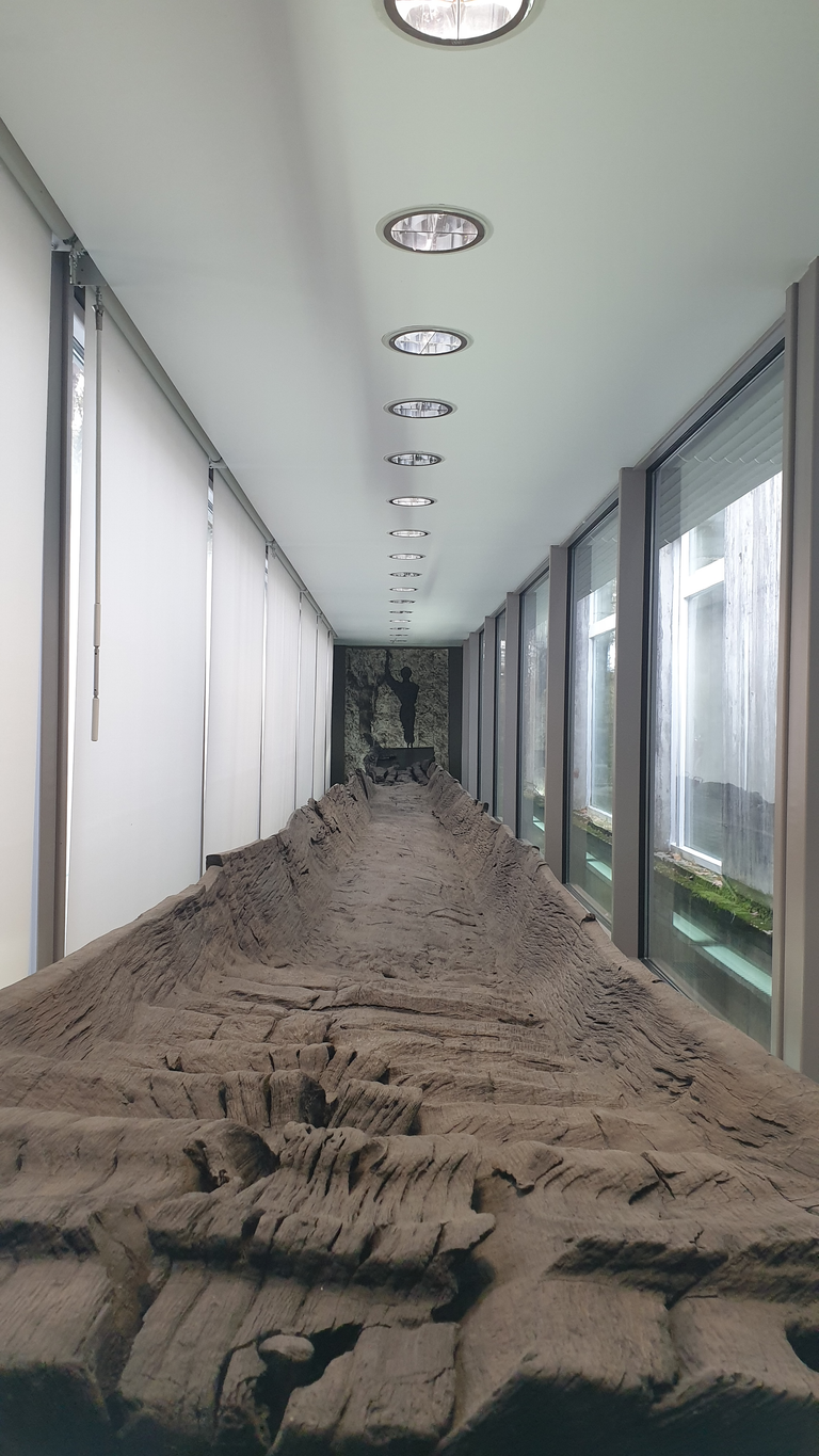 Carolingian-era wooden boat found in the Seine